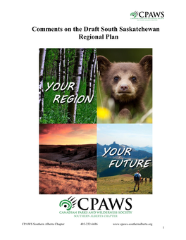 Comments on the Draft South Saskatchewan Regional Plan