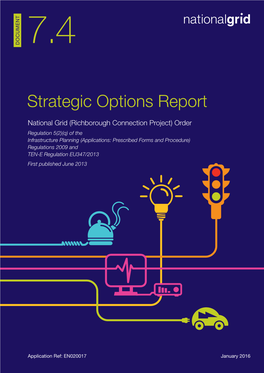 7.4 Strategic Options Report
