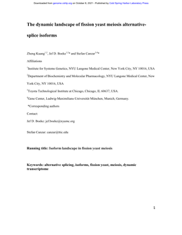 The Dynamic Landscape of Fission Yeast Meiosis Alternative-Splice Isoforms