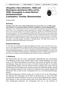 HAWORTH, 1828) Und Blastobasis Desertarum (WOLLASTON, 1858): Dauergäste in Einem Berliner Gartenbaubetrieb (Lepidoptera, Tineidae, Blastobasidae