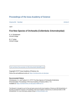 Five New Species of Orchesella (Collembola: Entomobryidae)