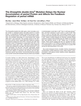 The Drosophila Double-Times Mutation Delays the Nuclear Accumulation of Period Protein and Affects the Feedback Regulation of Period Mrna