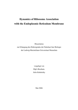 Dynamics of Ribosome Association with the Endoplasmic Reticulum Membrane