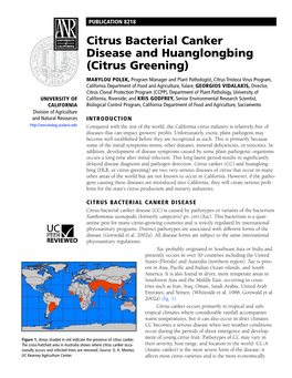 Citrus Bacterial Canker Disease and Huanglongbing (Citrus Greening)