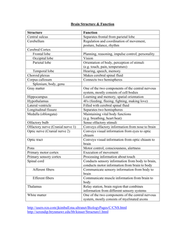 Brain Structure & Function Structure Function Central Sulcus Separates