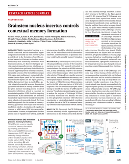 Brainstem Nucleus Incertus Controls Contextual Memory Formation András Szonyi, Katalin E