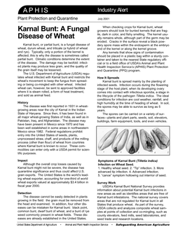 Karnal Bunt, Wheat Karnal Bunt: a Fungal Growers Should Look for Bunted Kernels That Are Frag- Ile, Dark in Color, and Fishy Smelling