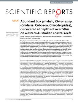 Abundant Box Jellyfish, Chironex Sp. (Cnidaria: Cubozoa: Chirodropidae), Discovered at Depths of Over 50 M on Western Australian Coastal Reefs