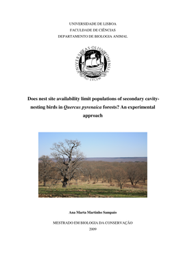 Nesting Birds in Quercus Pyrenaica Forests? an Experimental Approach