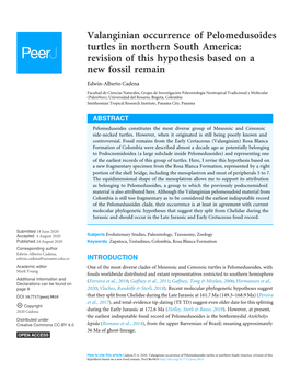 Valanginian Occurrence of Pelomedusoides Turtles in Northern South America: Revision of This Hypothesis Based on a New Fossil Remain