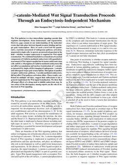 Β-Catenin-Mediated Wnt Signal Transduction Proceeds Through an Endocytosis-Independent Mechanism