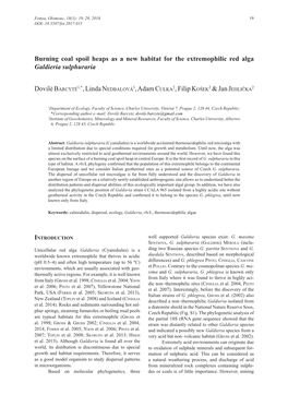 Burning Coal Spoil Heaps As a New Habitat for the Extremophilic Red Alga Galdieria Sulphuraria