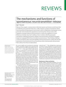 The Mechanisms and Functions of Spontaneous Neurotransmitter Release