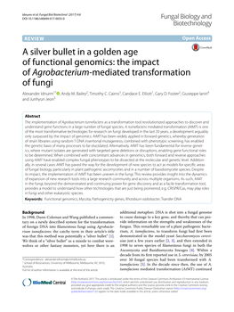 A Silver Bullet in a Golden Age of Functional Genomics: the Impact of Agrobacterium-Mediated Transformation of Fungi