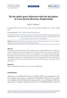 On the Spider Genus Arboricaria with the Description of a New Species (Araneae, Gnaphosidae)