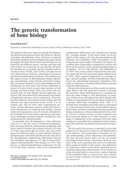 The Genetic Transformation of Bone Biology