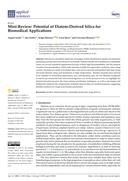 Potential of Diatom-Derived Silica for Biomedical Applications