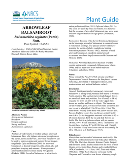 Plant Guide for Arrowleaf Balsamroot (Balsamorhiza Sagittata)