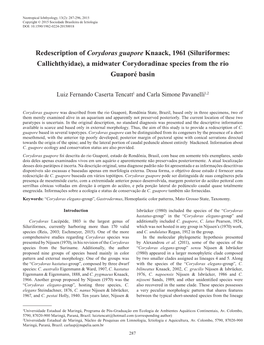 Redescription of Corydoras Guapore Knaack, 1961 (Siluriformes: Callichthyidae), a Midwater Corydoradinae Species from the Rio Guaporé Basin