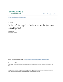 Roles of Neuregulin1 in Neuromuscular Junction Development Jiajing Wang Wayne State University