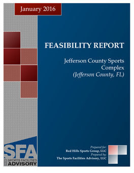 Feasibility Report