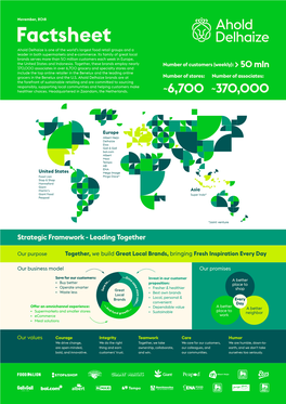 Factsheetleader in Both Supermarkets and E-Commerce