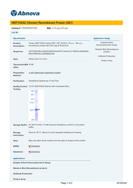 HIST1H2AC (Human) Recombinant Protein (Q01)