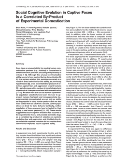 Social Cognitive Evolution in Captive Foxes Is a Correlated By-Product of Experimental Domestication