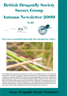 British Dragonfly Society Sussex Group Autumn Newsletter 2009