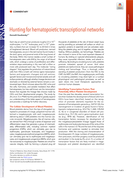 Hunting for Hematopoietic Transcriptional Networks COMMENTARY Kenneth Kaushanskya,1