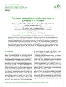 Feeding Strategies Differentiate Four Detritivorous Curimatids in the Amazon