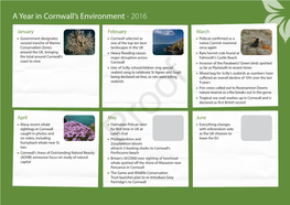 A Year in Cornwall's Environment