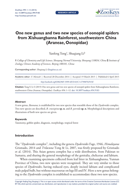 One New Genus and Two New Species of Oonopid Spiders from Xishuangbanna Rainforest, Southwestern China (Araneae, Oonopidae)