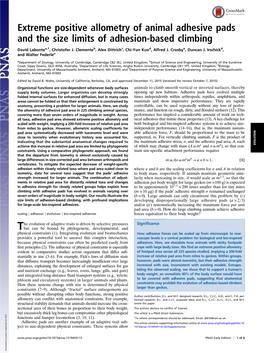 Extreme Positive Allometry of Animal Adhesive Pads and the Size Limits of Adhesion-Based Climbing