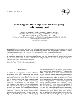 Fucoid Algae As Model Organisms for Investigating Early Embryogenesis