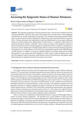 Assessing the Epigenetic Status of Human Telomeres