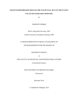 Abdullah Thesis