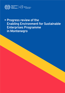 Enabling Environment for Sustainable Enterprises Programme in Montenegro