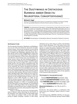 The Dustywings in Cretaceous Burmese Amber (Insecta: Neuroptera: Coniopterygidae)