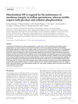 Mitochondrial ATP Is Required for the Maintenance of Membrane Integrity