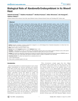 Biological Role of Nardonella Endosymbiont in Its Weevil Host