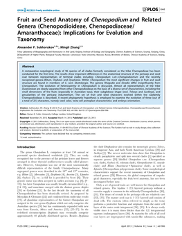 Chenopodioideae, Chenopodiaceae/ Amaranthaceae): Implications for Evolution and Taxonomy