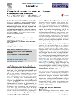 Wiring Visual Systems: Common and Divergent Mechanisms and Principles