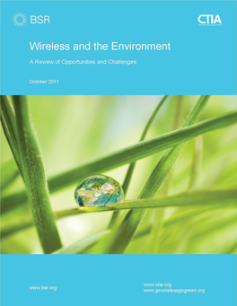 Wireless and the Environment