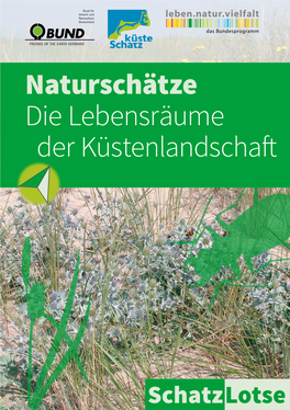 Naturschätze Die Lebensräume Der Küstenlandschaft