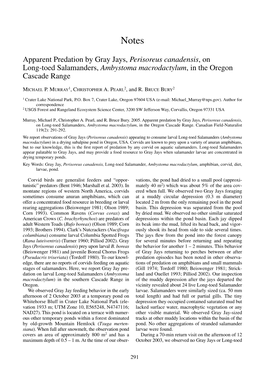 Apparent Predation by Gray Jays, Perisoreus Canadensis, on Long-Toed Salamanders, Ambystoma Macrodactylum, in the Oregon Cascade Range