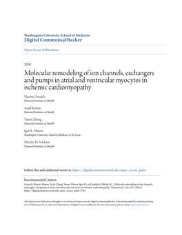 Molecular Remodeling of Ion Channels, Exchangers and Pumps in Atrial and Ventricular Myocytes in Ischemic Cardiomyopathy Naomi Gronich National Institutes of Health