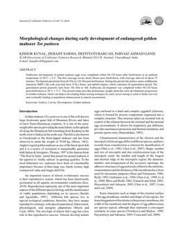 Morphological Changes During Early Development of Endangered Golden Mahseer Tor Putitora