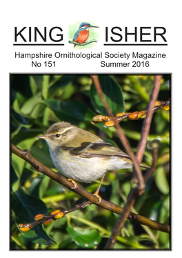 KING ISHER Hampshire Ornithological Society Magazine No 151 Summer 2016