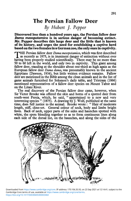 The Persian Fallow Deer by Hubert J